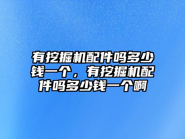 有挖掘機配件嗎多少錢一個，有挖掘機配件嗎多少錢一個啊