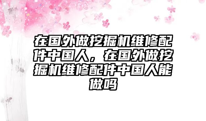 在國(guó)外做挖掘機(jī)維修配件中國(guó)人，在國(guó)外做挖掘機(jī)維修配件中國(guó)人能做嗎