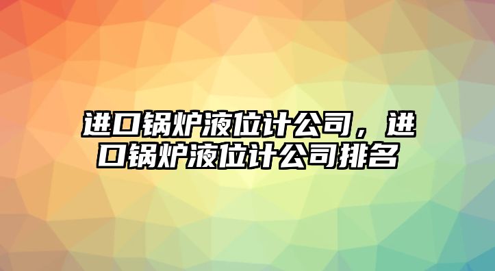 進(jìn)口鍋爐液位計(jì)公司，進(jìn)口鍋爐液位計(jì)公司排名