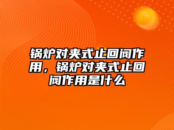 鍋爐對(duì)夾式止回閥作用，鍋爐對(duì)夾式止回閥作用是什么