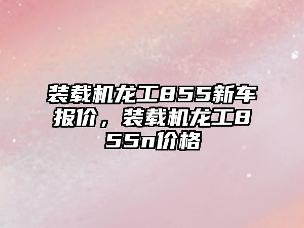 裝載機龍工855新車報價，裝載機龍工855n價格