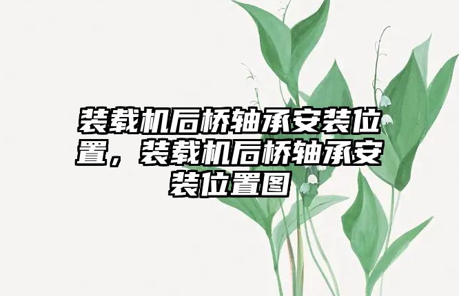 裝載機(jī)后橋軸承安裝位置，裝載機(jī)后橋軸承安裝位置圖