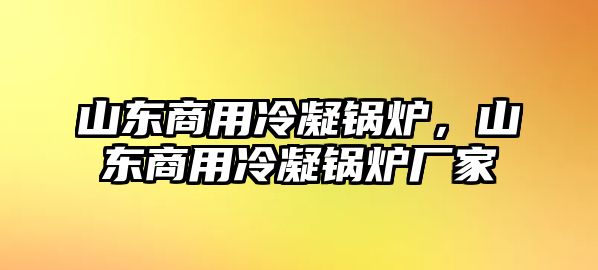 山東商用冷凝鍋爐，山東商用冷凝鍋爐廠家