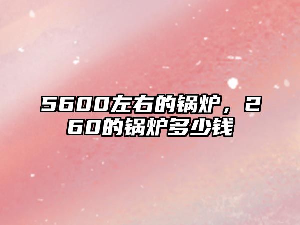 5600左右的鍋爐，260的鍋爐多少錢