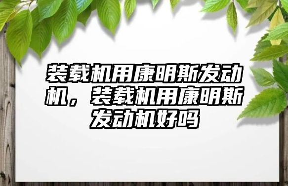 裝載機用康明斯發(fā)動機，裝載機用康明斯發(fā)動機好嗎