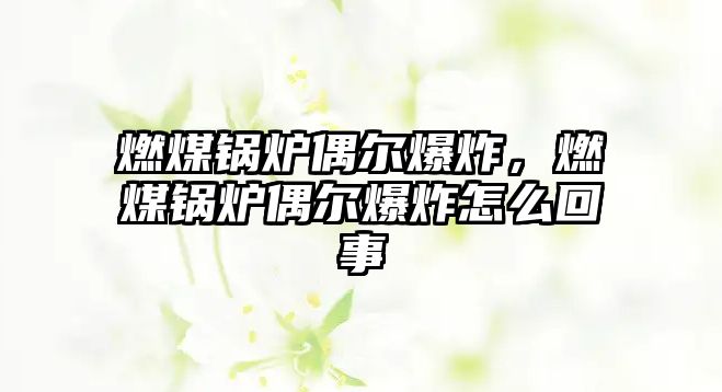 燃煤鍋爐偶爾爆炸，燃煤鍋爐偶爾爆炸怎么回事