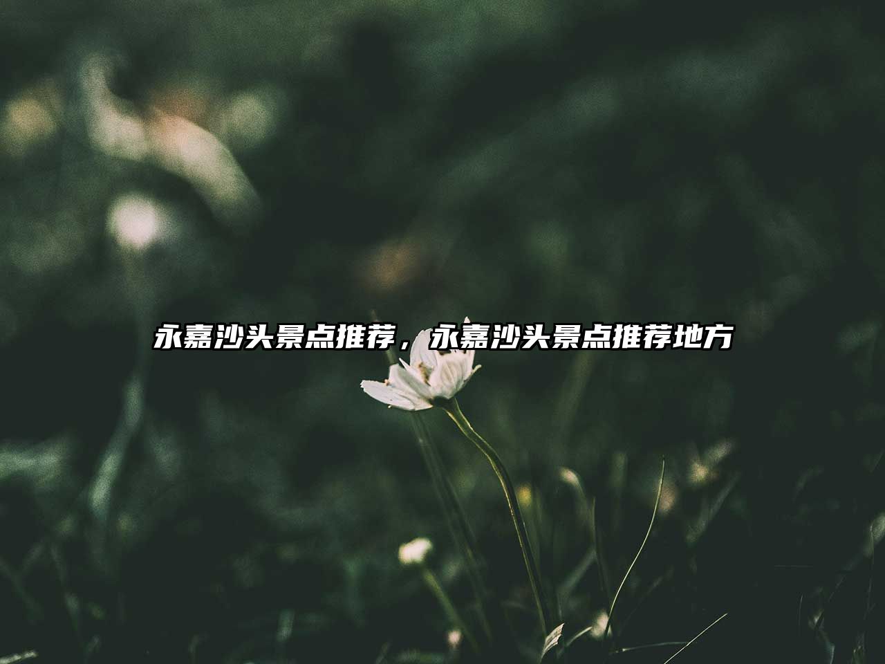 永嘉沙頭景點(diǎn)推薦，永嘉沙頭景點(diǎn)推薦地方