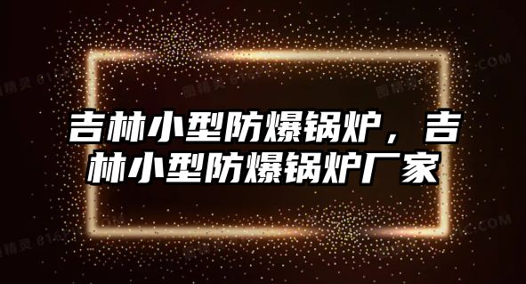 吉林小型防爆鍋爐，吉林小型防爆鍋爐廠家