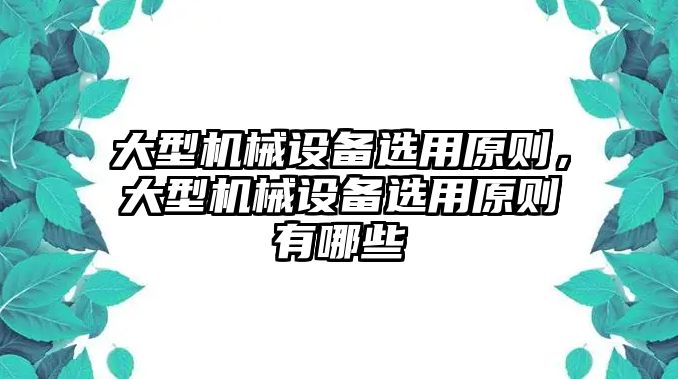 大型機(jī)械設(shè)備選用原則，大型機(jī)械設(shè)備選用原則有哪些