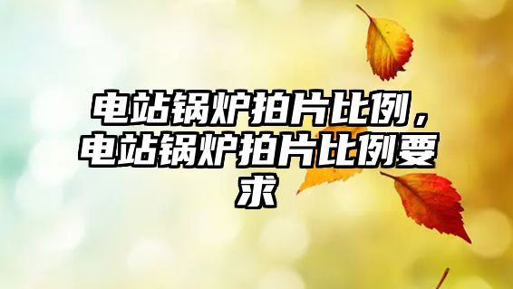 電站鍋爐拍片比例，電站鍋爐拍片比例要求