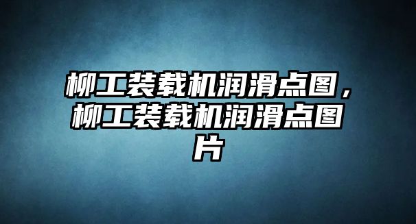 柳工裝載機(jī)潤滑點(diǎn)圖，柳工裝載機(jī)潤滑點(diǎn)圖片