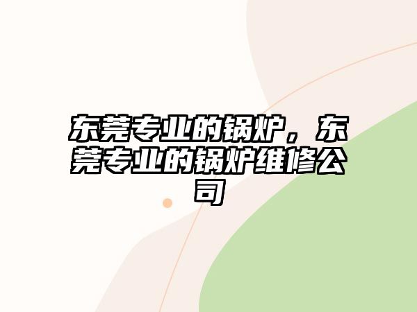 東莞專(zhuān)業(yè)的鍋爐，東莞專(zhuān)業(yè)的鍋爐維修公司