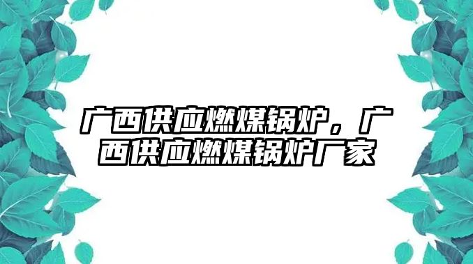 廣西供應(yīng)燃煤鍋爐，廣西供應(yīng)燃煤鍋爐廠家