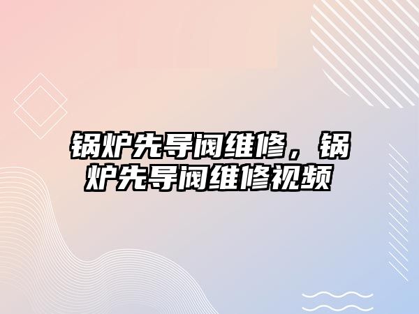 鍋爐先導(dǎo)閥維修，鍋爐先導(dǎo)閥維修視頻