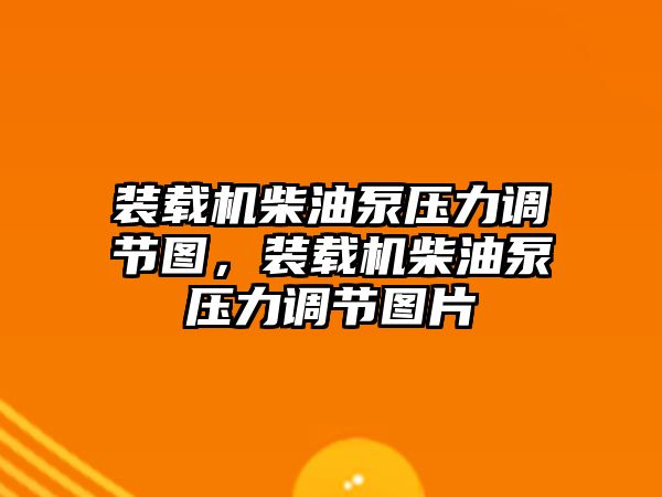 裝載機(jī)柴油泵壓力調(diào)節(jié)圖，裝載機(jī)柴油泵壓力調(diào)節(jié)圖片