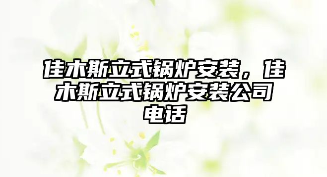 佳木斯立式鍋爐安裝，佳木斯立式鍋爐安裝公司電話