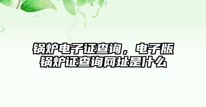 鍋爐電子證查詢，電子版鍋爐證查詢網(wǎng)址是什么