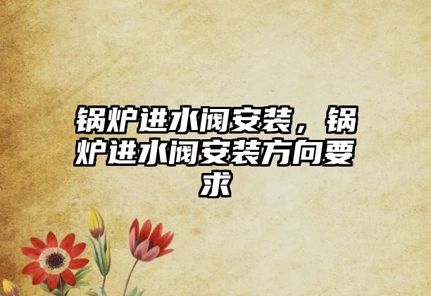 鍋爐進(jìn)水閥安裝，鍋爐進(jìn)水閥安裝方向要求