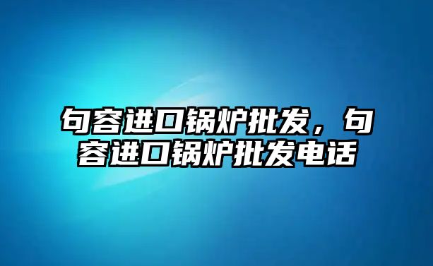 句容進(jìn)口鍋爐批發(fā)，句容進(jìn)口鍋爐批發(fā)電話