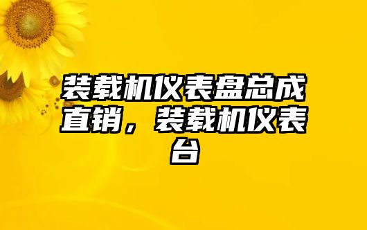 裝載機儀表盤總成直銷，裝載機儀表臺