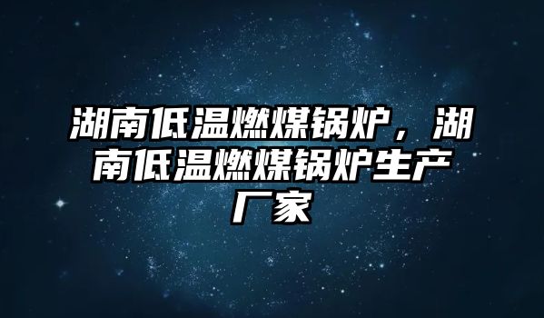 湖南低溫燃煤鍋爐，湖南低溫燃煤鍋爐生產(chǎn)廠家