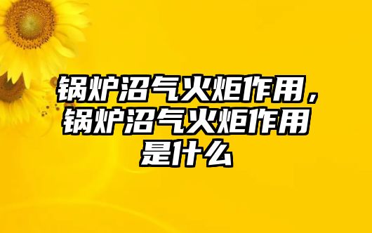 鍋爐沼氣火炬作用，鍋爐沼氣火炬作用是什么