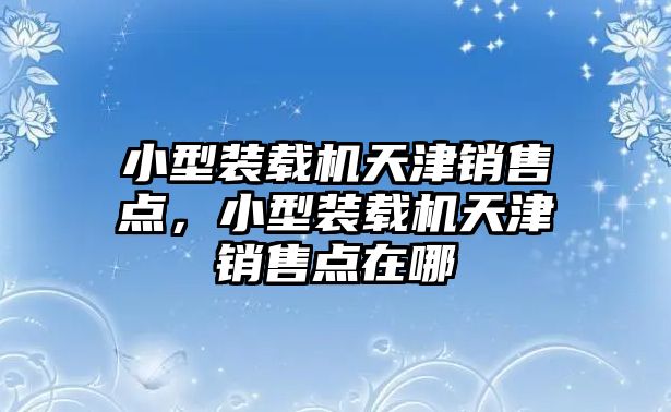 小型裝載機天津銷售點，小型裝載機天津銷售點在哪