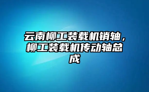 云南柳工裝載機銷軸，柳工裝載機傳動軸總成