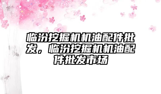 臨汾挖掘機機油配件批發(fā)，臨汾挖掘機機油配件批發(fā)市場